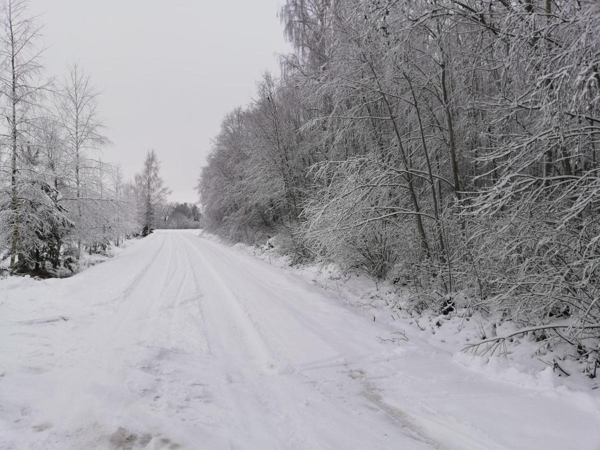 Willa Jekaba Maja Balvi Zewnętrze zdjęcie